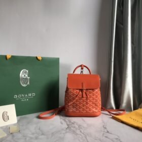 Goyard 096