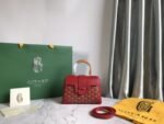Goyard 107