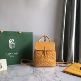 Goyard 151