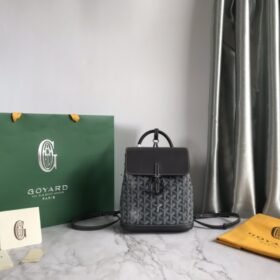 Goyard 152