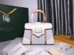 Goyard 206