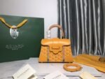 Goyard 209