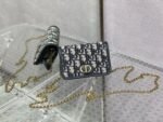 Dior 025