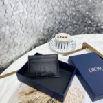 Dior 029