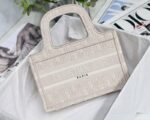 Dior 047
