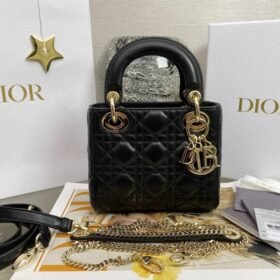 Dior 107