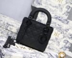 Dior 165