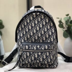 Dior 231