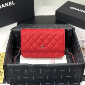 Chanel 009