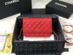 Chanel 010