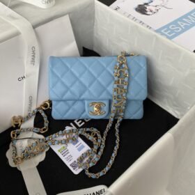 Chanel 316