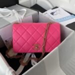 Chanel 569