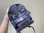 Dior 081 - 图片 2