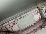 Dior 106 - 图片 2