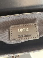 Dior 110 - 图片 2