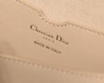 Dior 121 - 图片 2