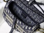 Dior 163 - 图片 2
