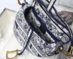 Dior 171 - 图片 2
