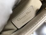Dior 289 - 图片 2
