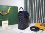 Goyard 120 - 图片 2