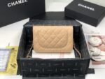 Chanel 006 - 图片 2