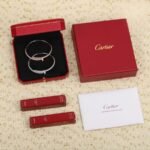 CARTIER Juste un Clou bracelet classic model half-paved - 图片 7