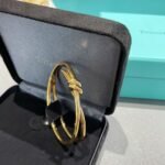 Tiffany and Co TIFFANY Knot Double Row Hinged Bangle - 图片 6