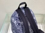 Dior 081 - 图片 3