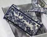 Dior 261 - 图片 3