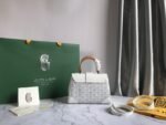 Goyard 110 - 图片 3