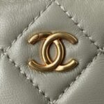 Chanel 117 - 图片 3