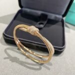 Tiffany and Co TIFFANY Knot Double Row Hinged Bangle - 图片 2