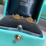 Tiffany and Co TIFFANY Smile Mini Earrings - 图片 4