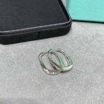 Tiffany and Co TIFFANY Look Earrings - 图片 3