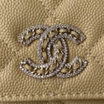 Chanel 196 - 图片 3