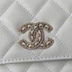 Chanel 197 - 图片 3