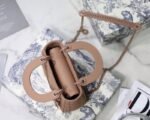 Dior 150 - 图片 4