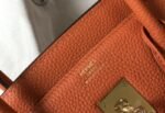 Hermes 060 - 图片 4