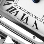 CARTIER Panth??re de Cartier watch 22 x 30 mm - 图片 6