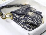 Dior 163 - 图片 5