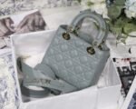 Dior 253 - 图片 5