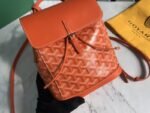 Goyard 096 - 图片 5