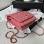 Chanel 309 - 图片 5
