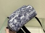 Dior 081 - 图片 6