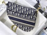 Dior 163 - 图片 6