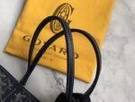 Goyard 082 - 图片 6