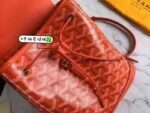 Goyard 096 - 图片 6