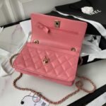 Chanel 309 - 图片 6