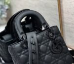 Dior 288 - 图片 7