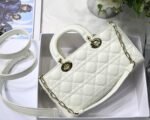Dior 250 - 图片 7